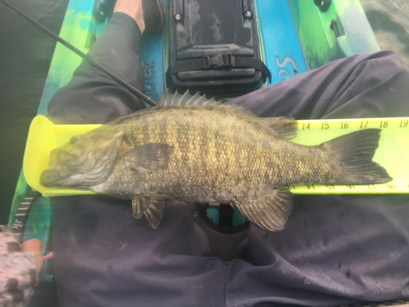 A photo of Spencer Jones's catch
