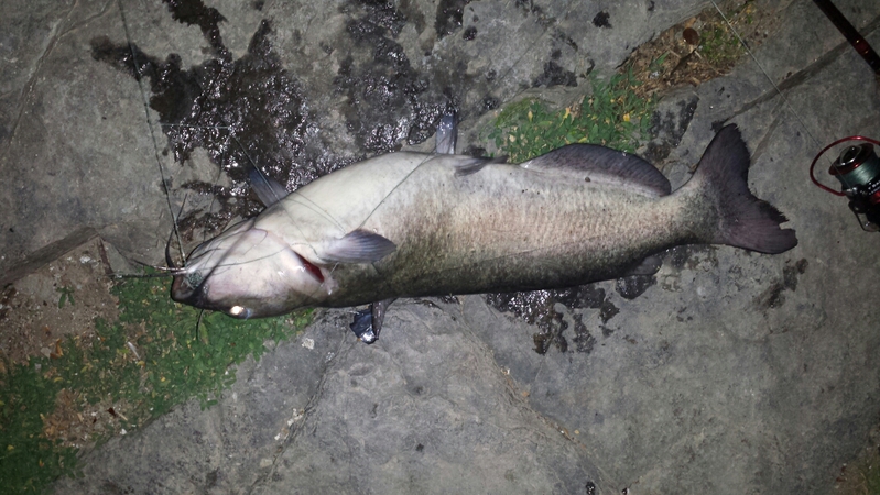 A photo of Craig Conrad's catch