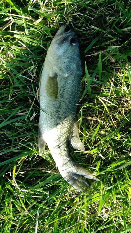 A photo of Rodrick moore's catch