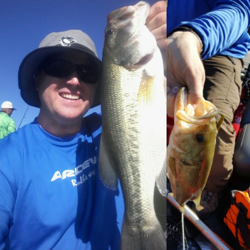 A photo of malarikfishing malarikfishing's catch