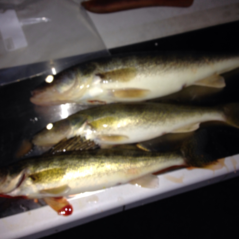 A photo of Dan Debolt 's catch