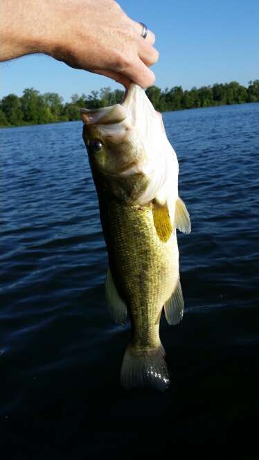 A photo of Michael Zielinski's catch
