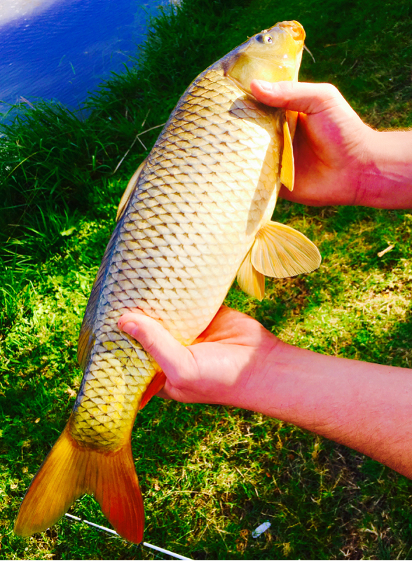 A photo of Joshua Price's catch
