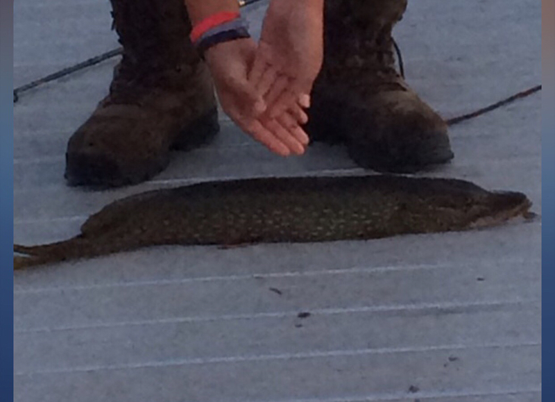 A photo of Jake Knapp's catch