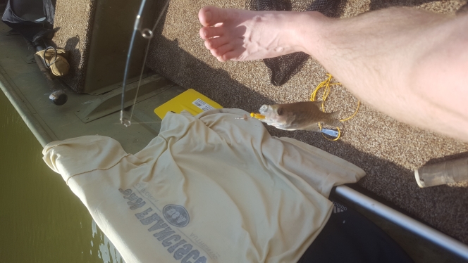 A photo of grady ferguson's catch