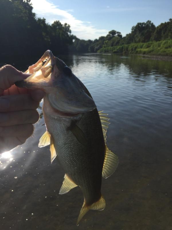 A photo of Ryan Dickerson's catch
