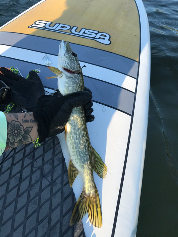 A photo of Andrea Kennedy's catch