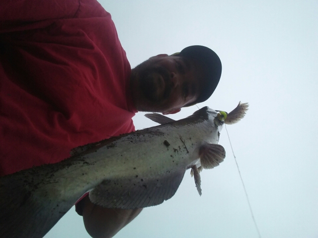 A photo of Jeffrey  Forsyth 's catch