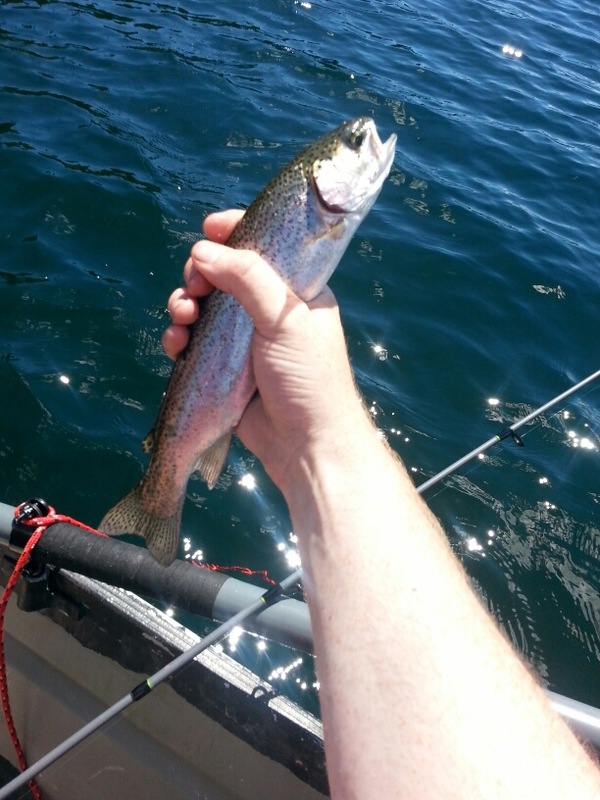 A photo of Kenny M's catch