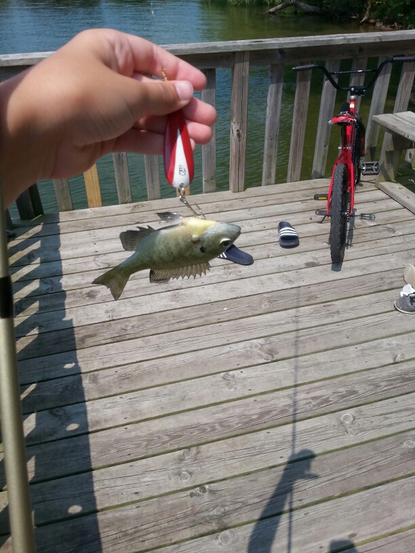 A photo of Allen Hammer's catch