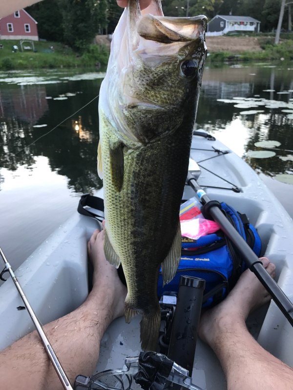 A photo of Ryan Scerra's catch