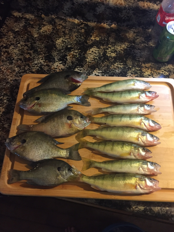 A photo of Matt Nolan's catch