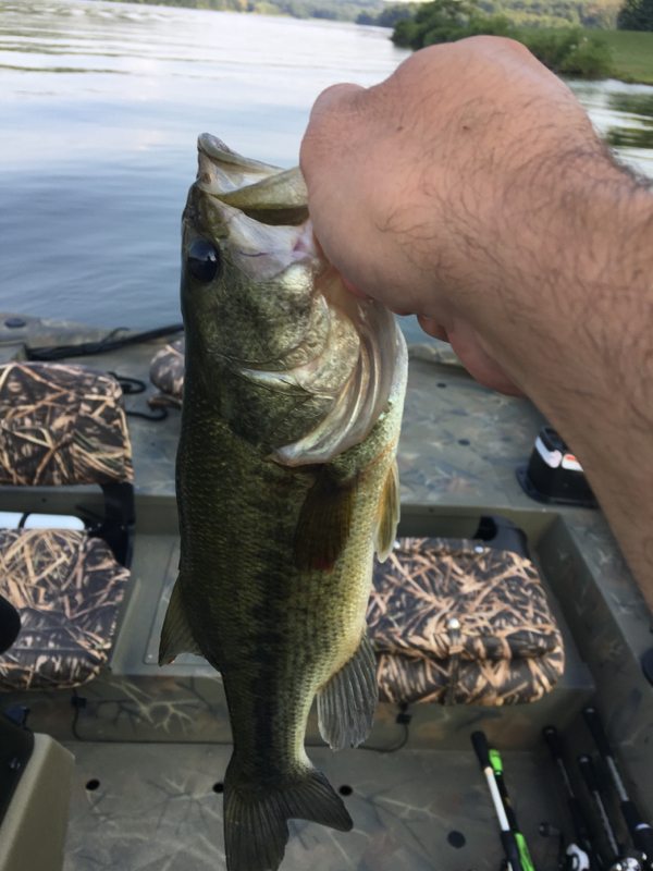 A photo of Jack The Lip Ripper's catch