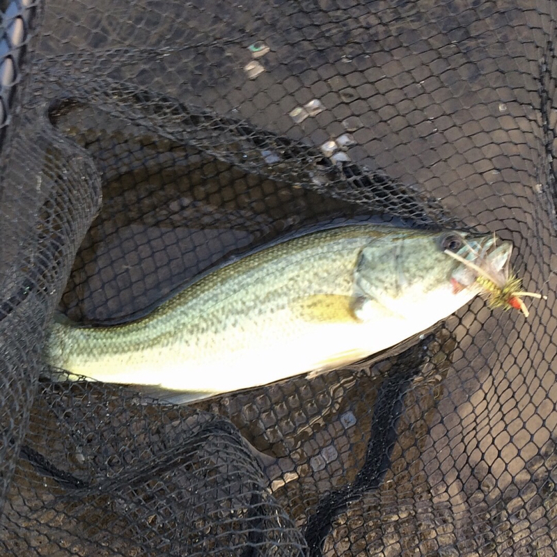 A photo of Dennis Dunning's catch