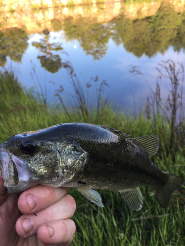 A photo of Blake Betts's catch