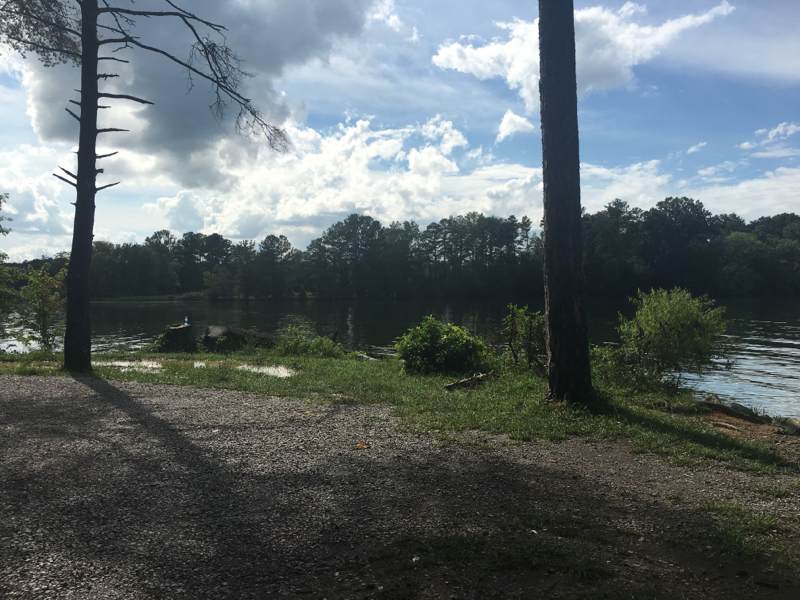 Chickamauga Lake TN Fishing Reports, Map & Hot Spots