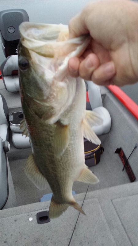 A photo of windell meeks's catch