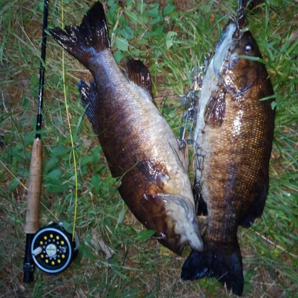 A photo of brad eckrose's catch