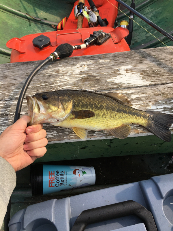 A photo of Nolan Mitchell's catch