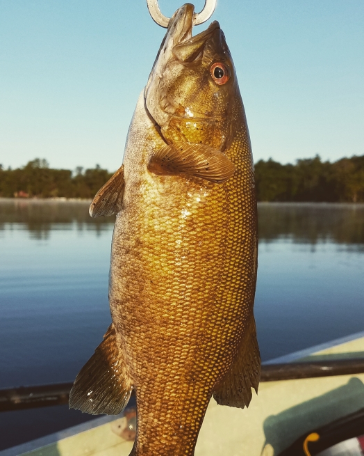 A photo of CJ Barron's catch