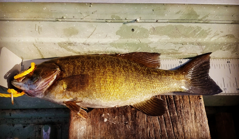 A photo of CJ Barron's catch
