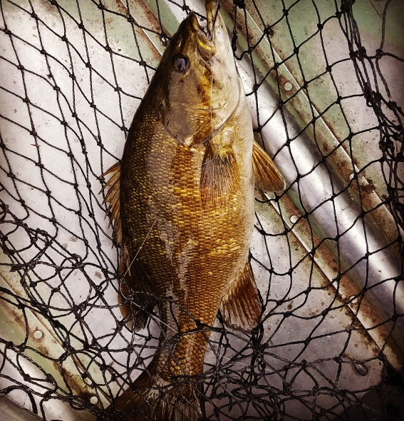 A photo of CJ Barron's catch