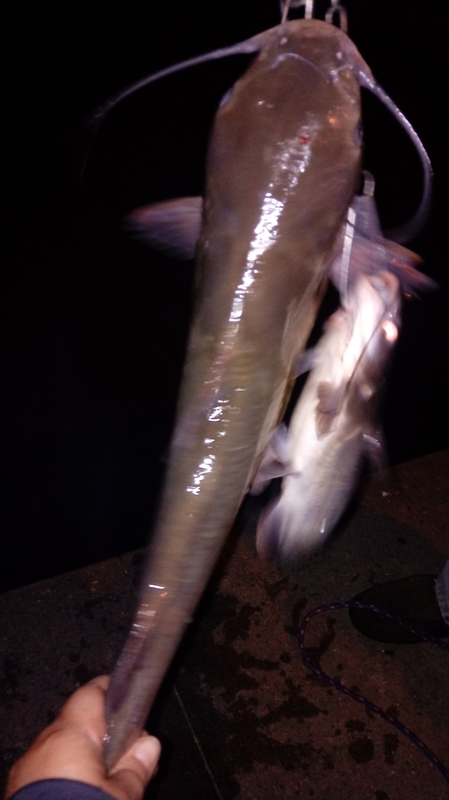 A photo of Marilyn Ellis's catch