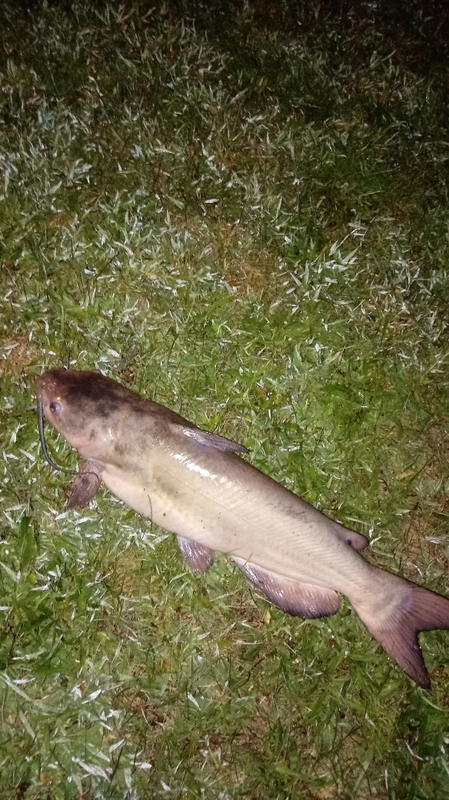 A photo of Marilyn Ellis's catch