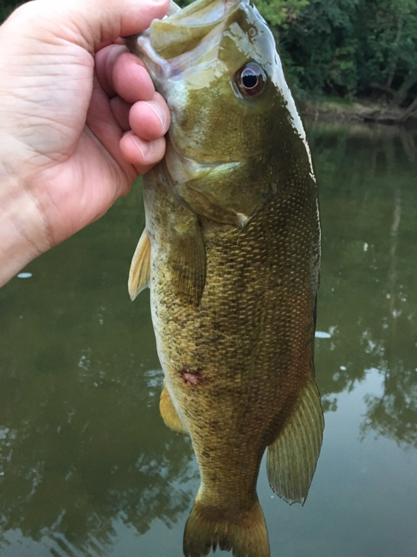 Great Miami River Fishing Map Great Miami River Oh Fishing Reports, Map & Hot Spots