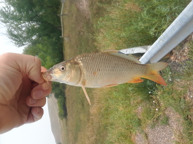 A photo of Steve Frooman's catch