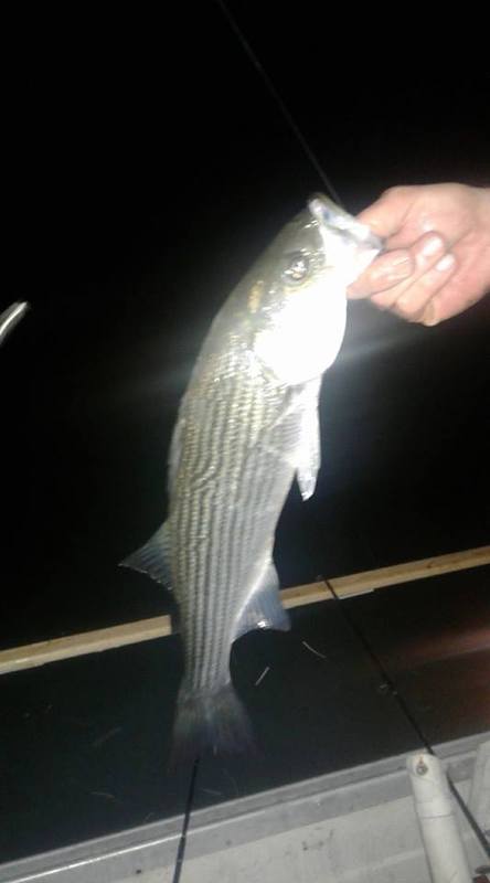 A photo of Cary Smith's catch