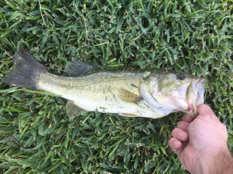A photo of Matthew Harper's catch