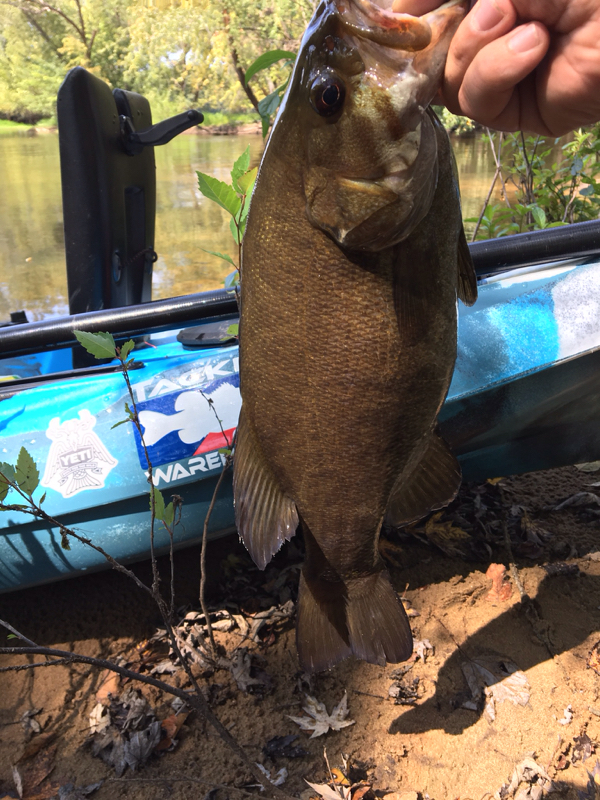 A photo of Kyle  Brinkman 's catch