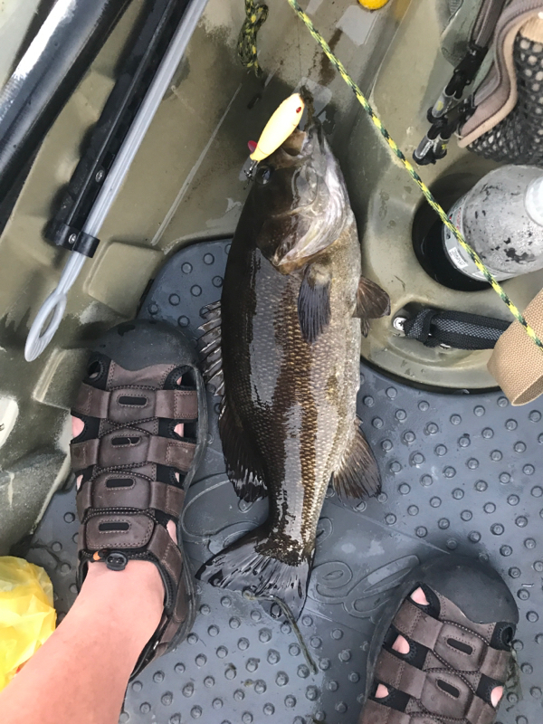 A photo of Matt Carle's catch
