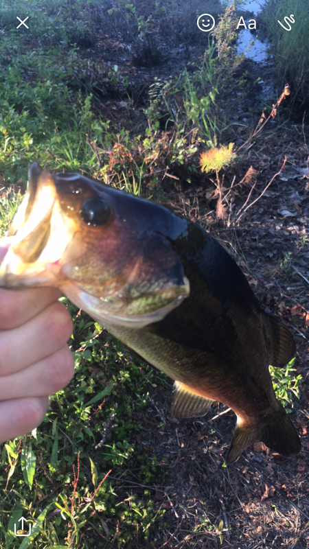 A photo of James Owens's catch
