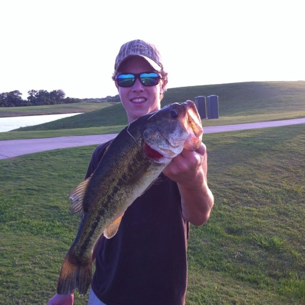 A photo of gatortrout's catch