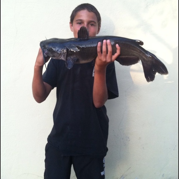 A photo of evandineen's catch