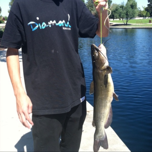 A photo of trailercoke's catch