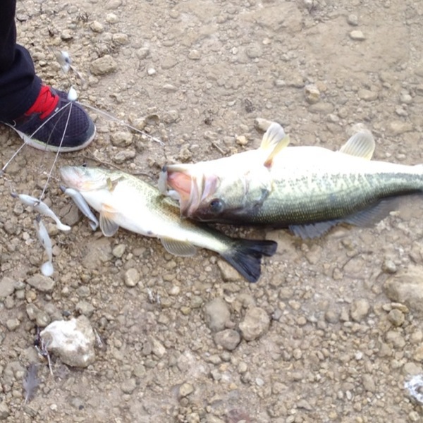 A photo of James Herring's catch