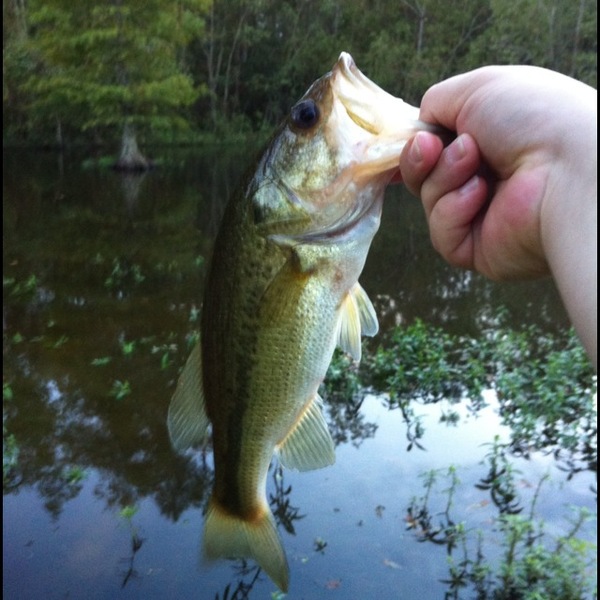 A photo of logan logan's catch