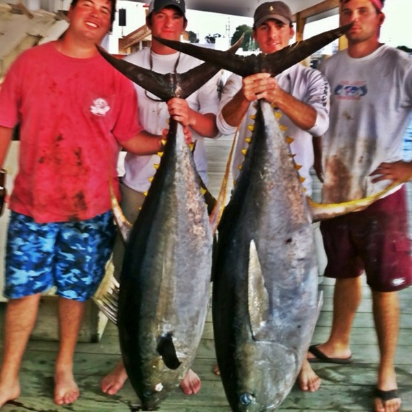 A photo of al_cenac2's catch