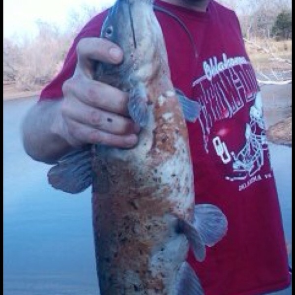 A photo of austincox's catch