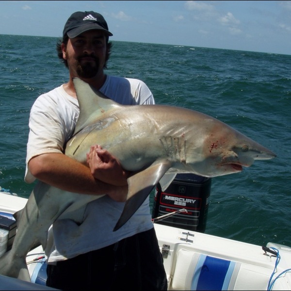 A photo of bregier79's catch