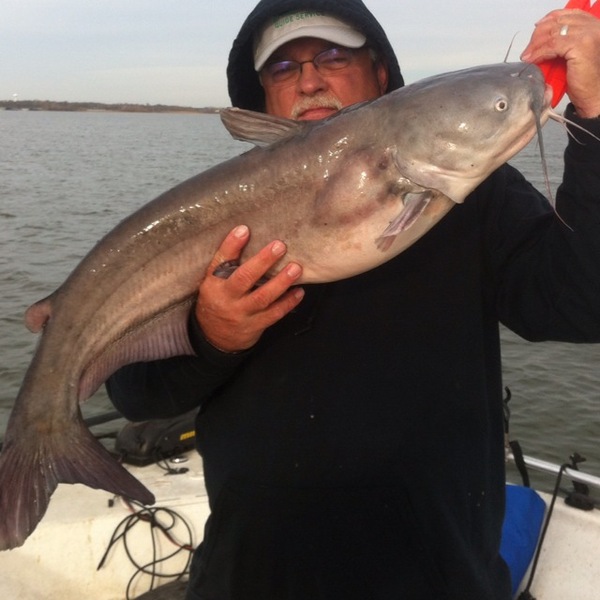 A photo of Eddie Eddie's catch