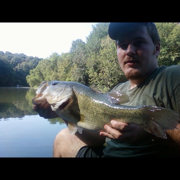 A photo of darrenparks's catch