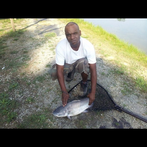 A photo of gilly15's catch