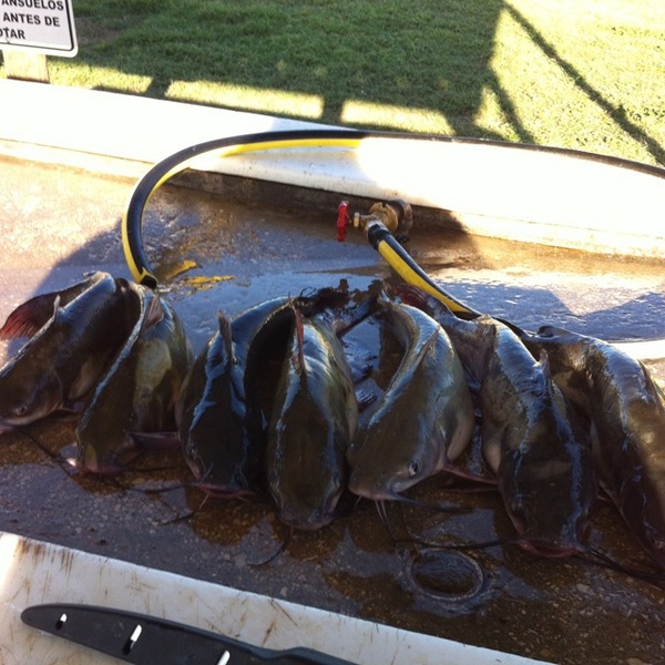 A photo of gammage's catch