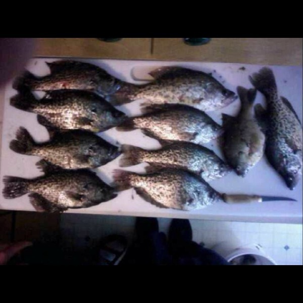 A photo of Josh Josh's catch