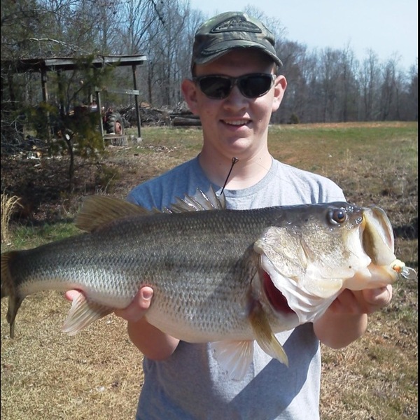 A photo of hpegg_21's catch