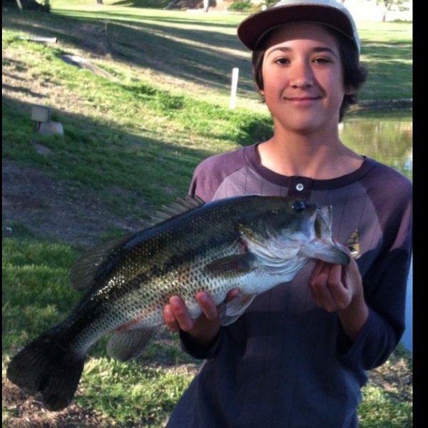 A photo of westcoastslayer's catch